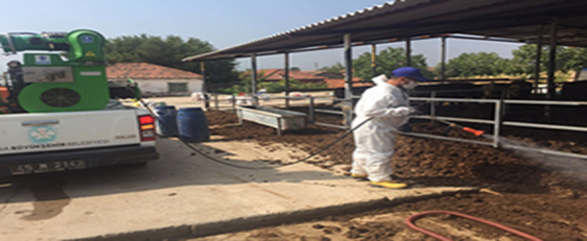 Manisa Afrika Hastalığına Savaş Açtı