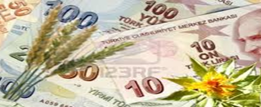 Fark Ödemesi Desteği Başvuruları Yarın Başlıyor