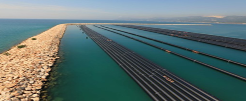 Faruk Çelik:  ``KKTC Toprakları Bereketlenecek`