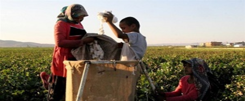 Yüz Binlerce Çocuk İşçi Okul Yerine İşe Gidecek