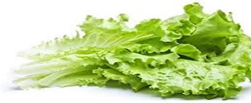 Zam Şampiyonu Kıvırcık Salata Oldu