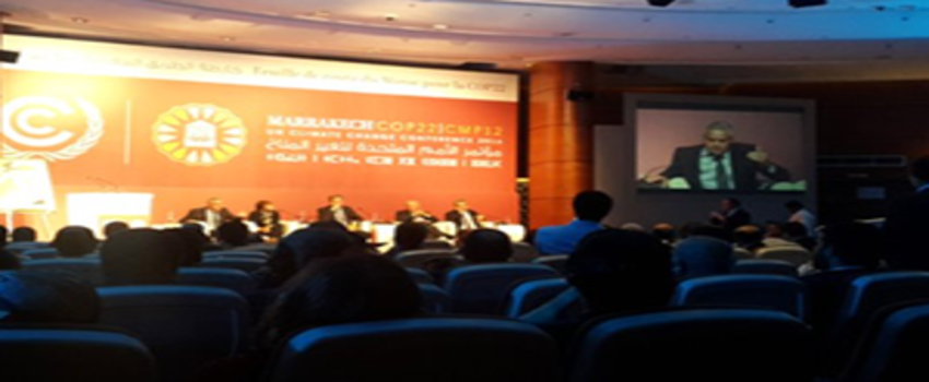 Fas`ta Kurtuluş Reçetesi: Mavi Kuşak İnisiyatifi