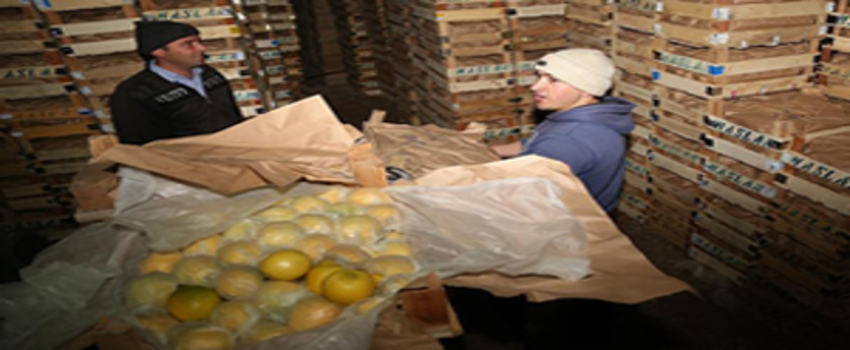 Akdeniz`in Limonu Kapadokya`da Lezzet Kazanıyor