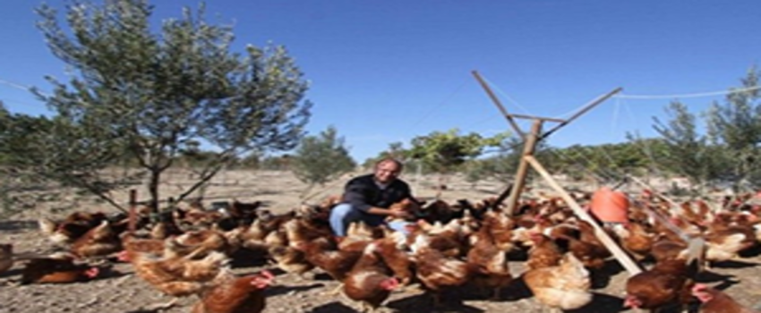 Çiftlik Kuracaklara Dikkat