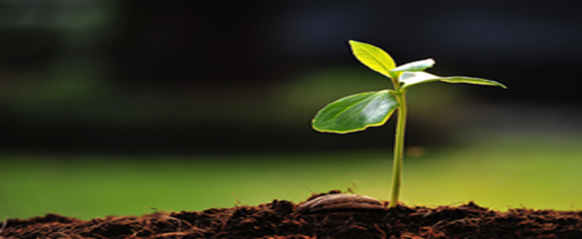 39 Ülkenin Gıda Güvencesi Yok