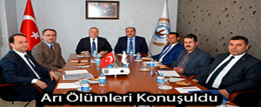 Bal Arısı Ölümlerine Çare Aranıyor