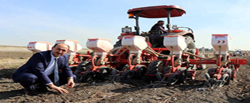 Tekin: `Adana`da 1. Ürün Mısır Ekilişleri Yıllara Göre Arttı`