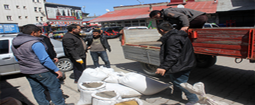 Yonca`nın Fiyatı Altınla Yarışıyor