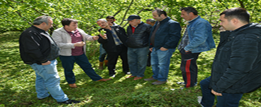 Fındıkta `Tarla Okulu`