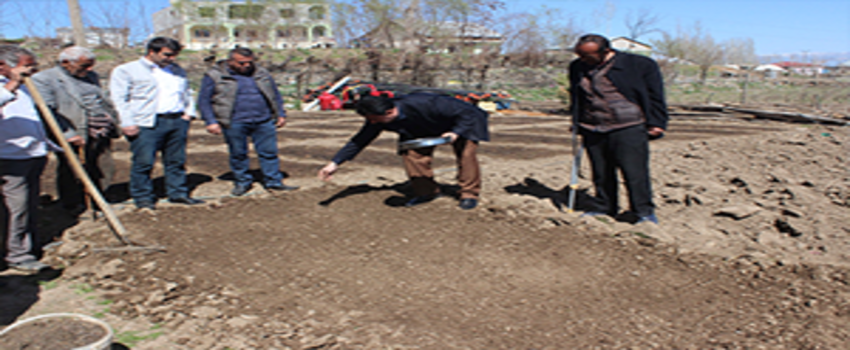 Tütün Ekimi Başladı