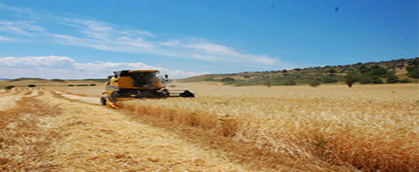 Biçerdöverle Hasatta Tarla Kontrolleri Yapılacak