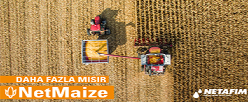 Netafım İle Daha Fazla Mısır Yetiştirmenin Yolu Açılıyor