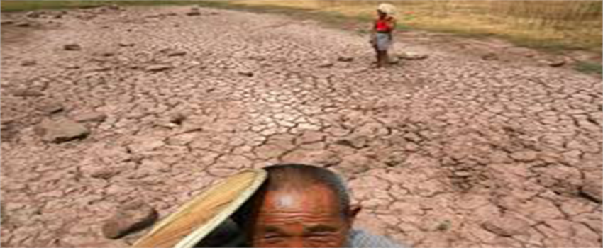 Kuraklık Krizi Yaşayan Kuzey Kore`nin Gıda Krizi`ne Ramak Kaldı