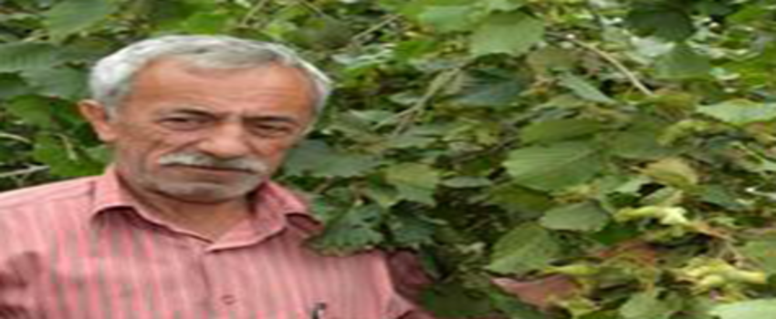 Fındık Fiyatına Tepkiler