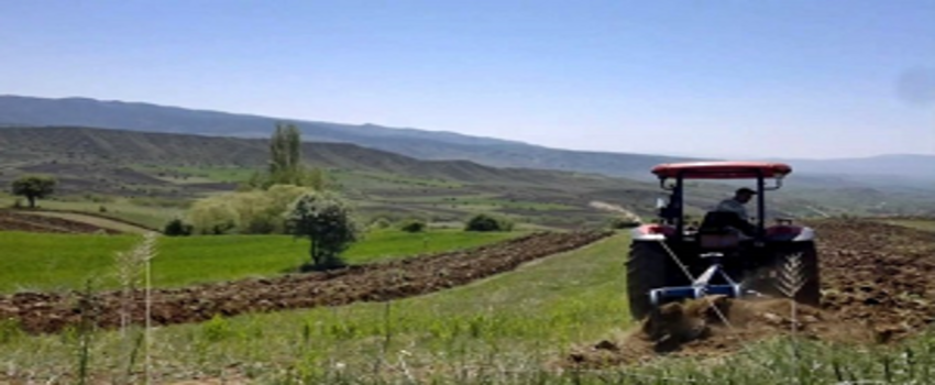 Beş Yıllık Hedefler Belirlendi