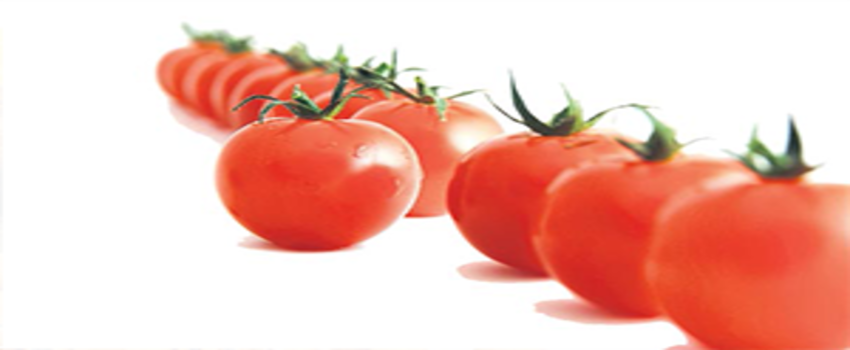 10 Yıldır Dönüş Yok