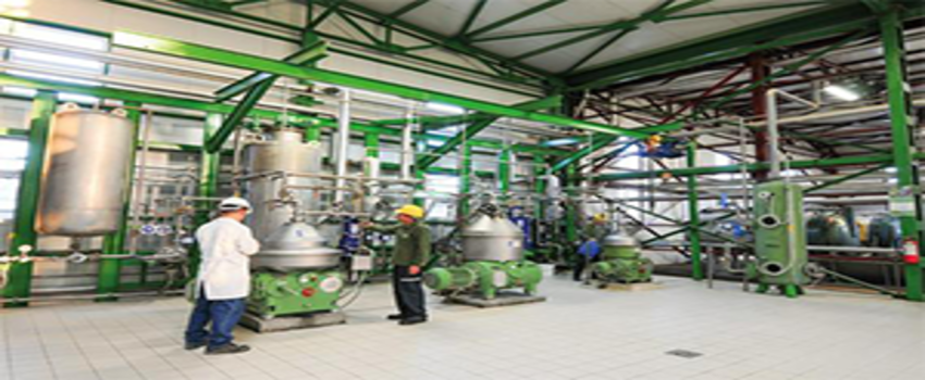 5 Kıtada 100`den Fazla Ülkeye İhracat Yapıyor