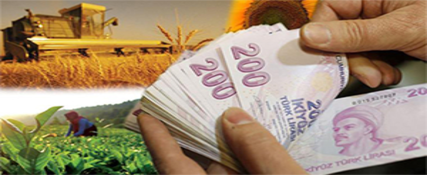 Çiftçilere Verilecek Tarımsal Destekler Belli Oldu