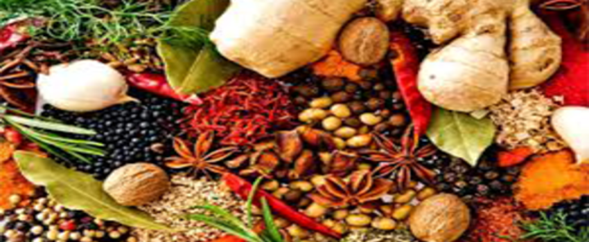 Tıbbi Aromatik Bitkiler Hakkında Merak Ettikleriniz