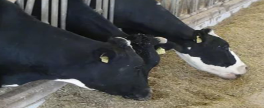 `Nüfusumuz Artıyor Ama Çiftçimiz Azalıyor`