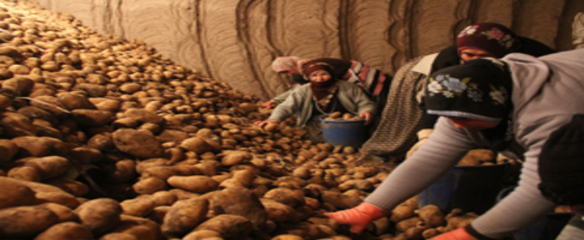 Bayraktar`dan ` Patates Tüketelim` Çağrısı