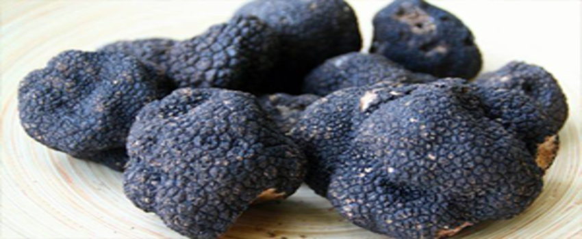 Kilosu 5 Bin TL Olan Bu Yiyecek Ülkemizde de Yetişmeye Başladı