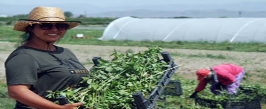 Ankara`da `Örnek Köy Projesi` Hayata Geçiyor