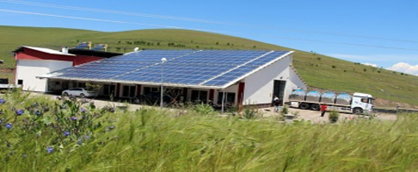 Devlet Desteği ile Süt İşleme Tesisi Kuran Diş Hekimi