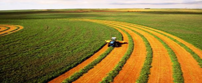 Tarımsal Ar-Ge Projelerine 40 Milyon Lira Hibe Desteği