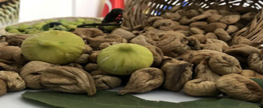 Rekolte Tahmini Açıklandı!