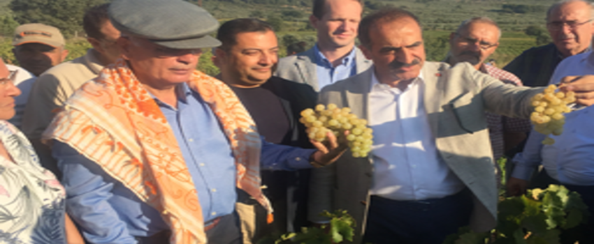 Selçuk`ta Üzüm Festivali Coşkusu