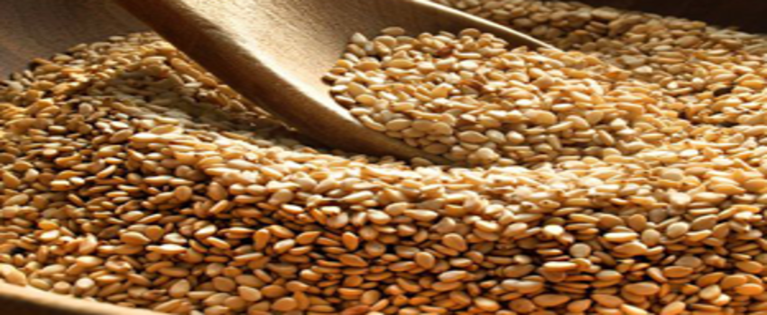 Susamda Gümrük Vergisi Sıfırlandı