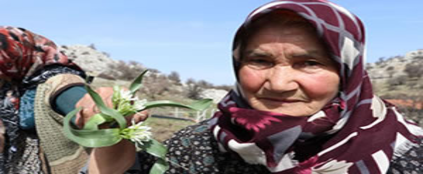 Belge Olmadan Toplamak Yasak!