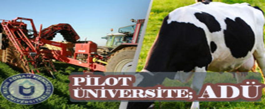 ADÜ Pilot Üniversite Oldu