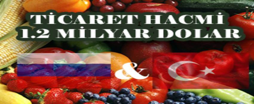 Ticaret Hacmi 1.2 Milyar Dolar