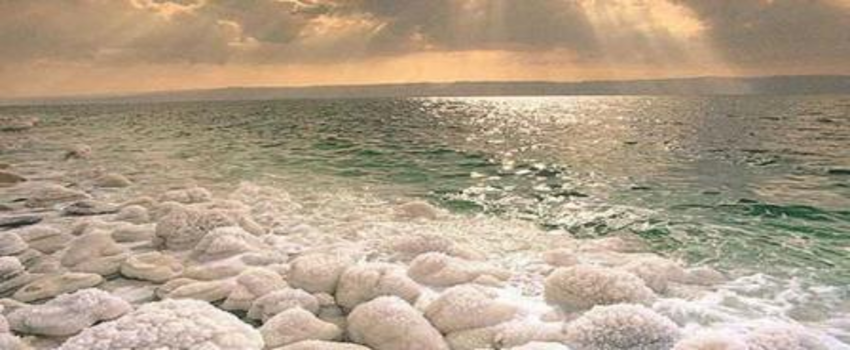 Ekolojik felakete `Dur` diyelim