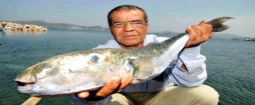 Denizlerimizde İstilacı Tür Mücadelesi