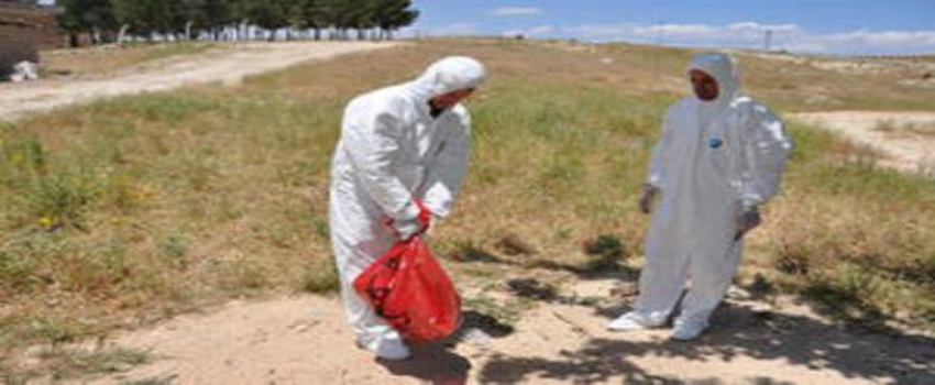 Konya`da 2 mahalleye kuduz karantinası