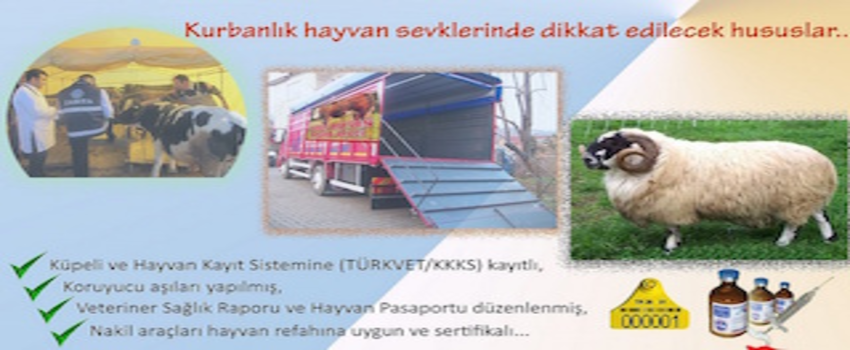 Kurbanlık Hayvan Nakillerinde Uyulması Gereken Kurallar