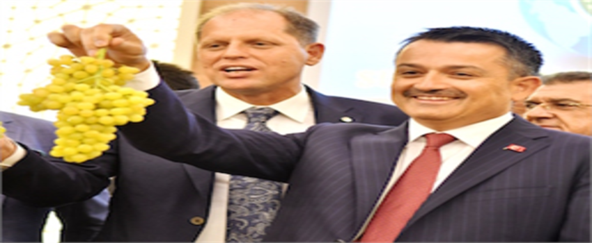 KURU ÜZÜMDE FİYAT 10 OLDU