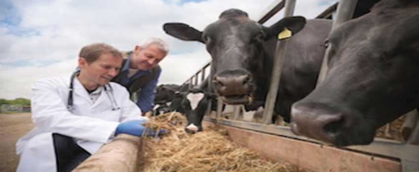 İzmir VHO Başkanı`ndan gençlere mektup