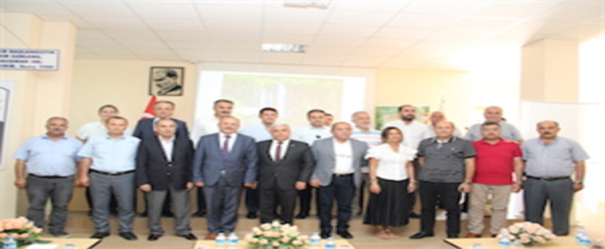 ALTIN SIVI İÇİN GÜÇBİRLİĞİ