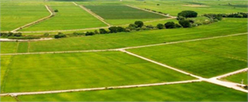 ÇİFTÇİLERE 200 MİLYON METREKARE HAZİNE ARAZİSİ KİRAYA VERİLECEK