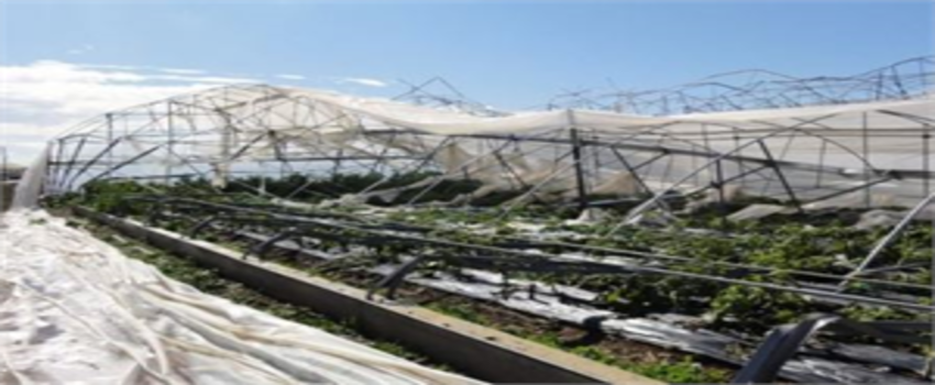 TARSİM` DEN SİGORTA UYARISI