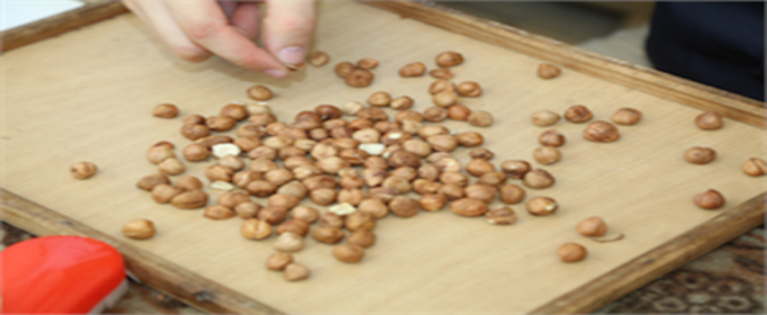 TMO`DAN SONRA FİSKOBİRLİK`TE DEVREDE