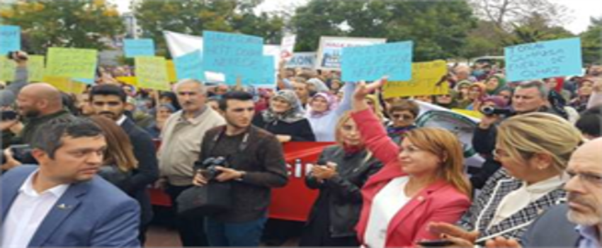 Çarşamba Ovası Yok Olmasın!