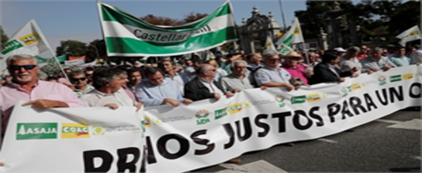 ABD İSPANYA ZEYTİNYAĞI SAVAŞI KAPIDA