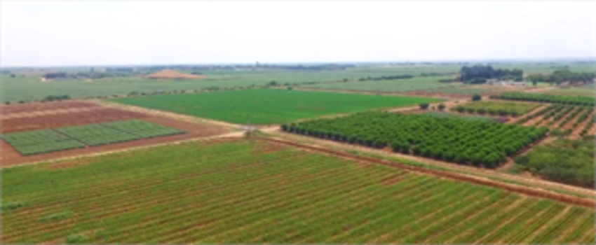 TÜBİTAK TARIMA UZAYDAN DESTEK VERİYOR