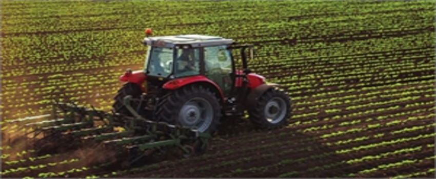 Tarım ve Orman Bakanlığı Sektöre katkı Vermeye Devam Edecek