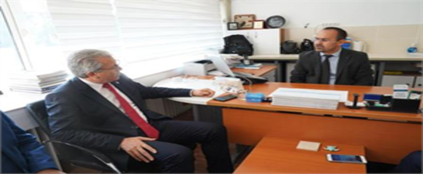 Osmanlı Engereğinin Alt Türü Keşfedildi